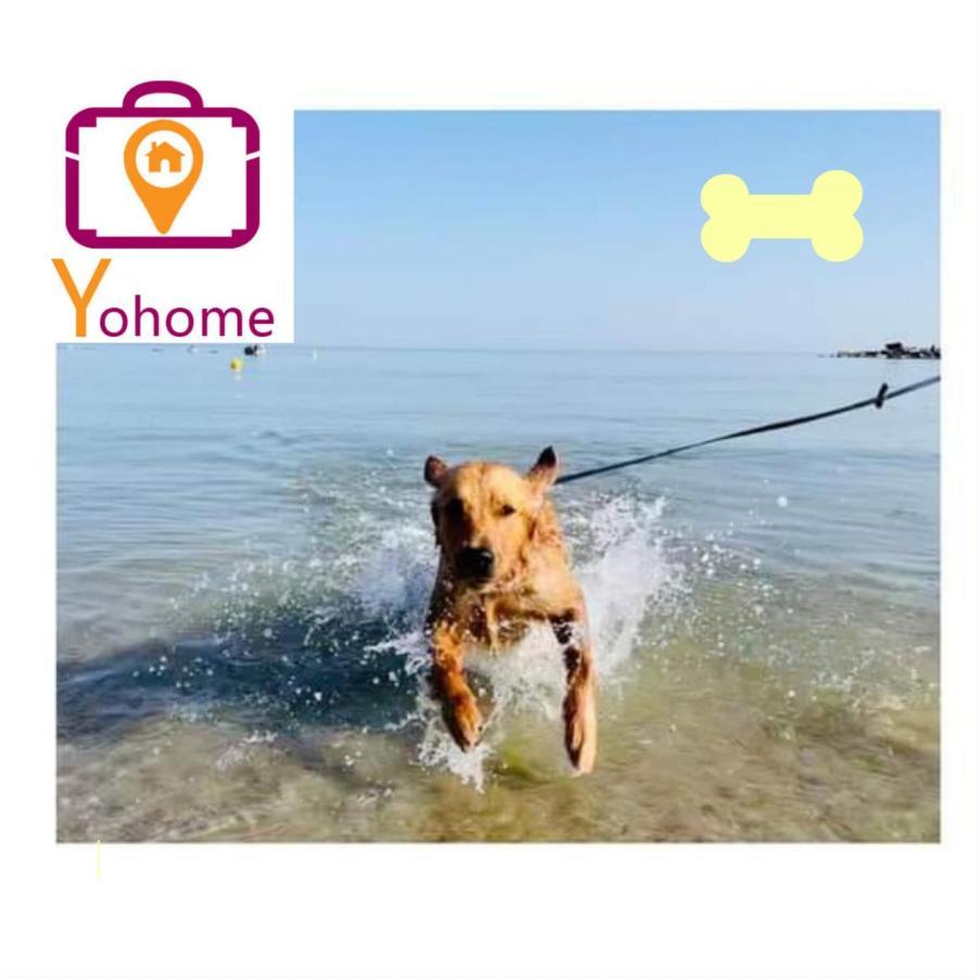 Zara D'Amare a Pesaro 10 metri dalla spiaggia by Yohome Bagian luar foto